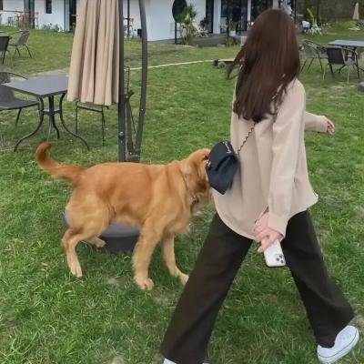 灵魂至灵魂 海报