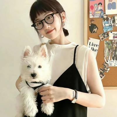 完美计划 海报